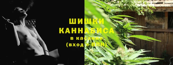 первитин Богородицк
