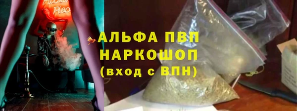 стафф Богданович