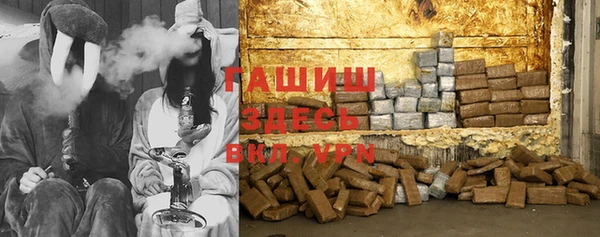 стафф Богданович