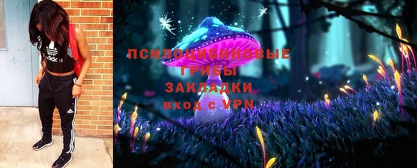 стафф Богданович