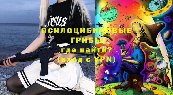 стафф Богданович