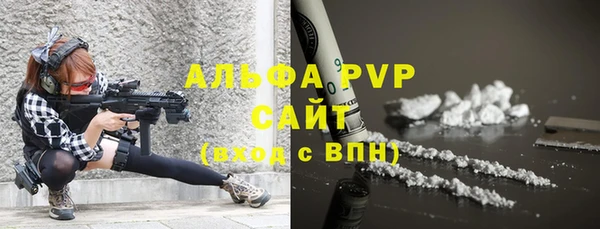 прущие грибы Белокуриха